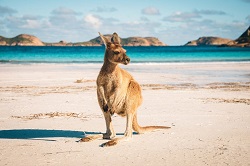 Moving to Cairns from Victoria