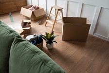 DLM Removals and Storage Services