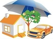 DLM Removals Insurance Options