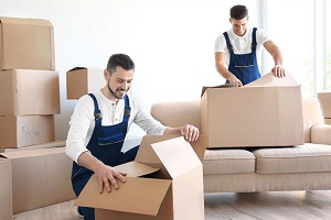 are you looking for a long distance mover?