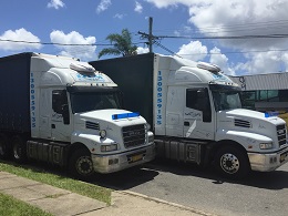 2 of 9 DLM Removals trucks - Interstate Removal Specialists